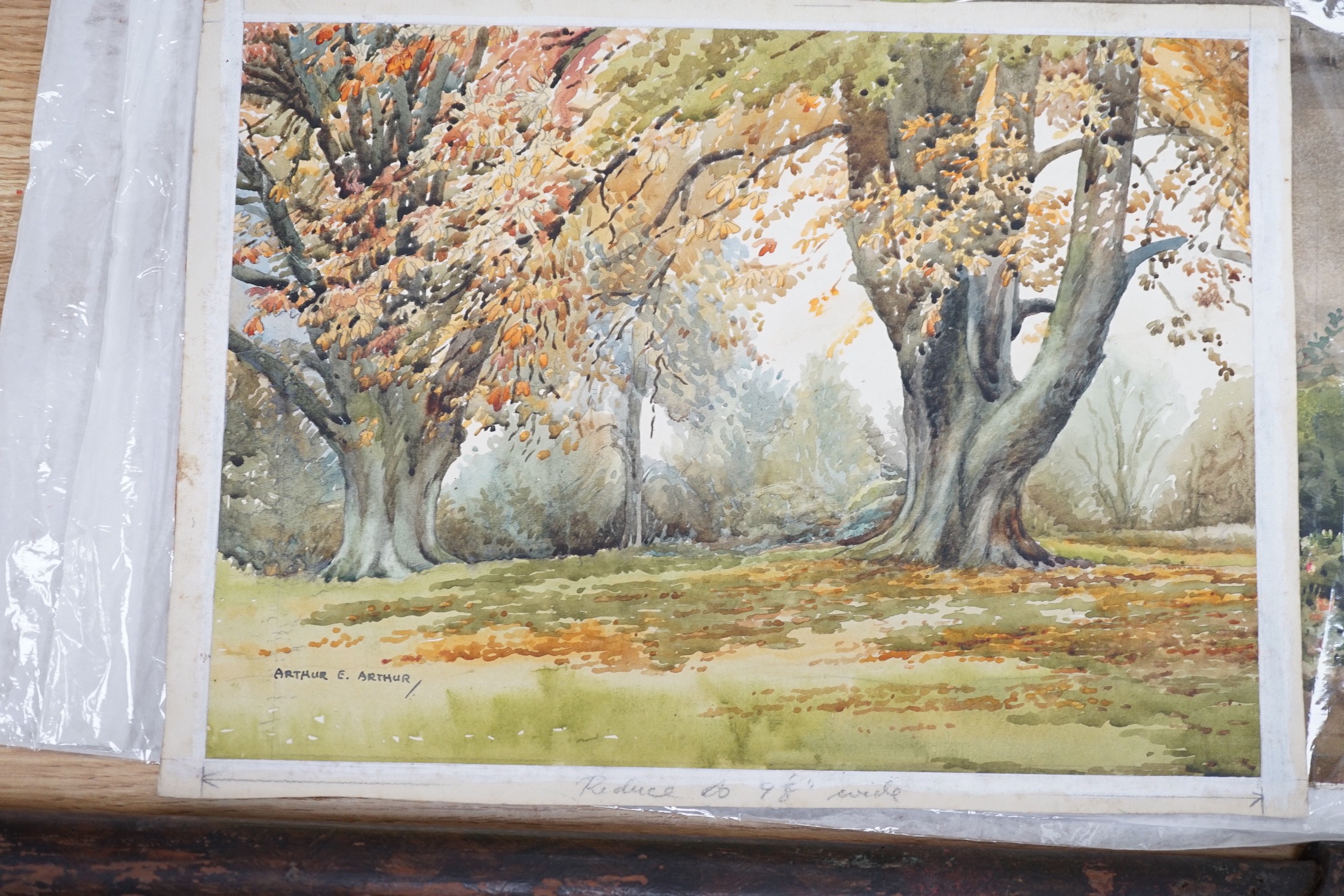 Henry John Sylvester Stannard (1870-1951) , watercolour, 'Granny's Front Door', signed, 28 x 39cm., together with a woodland scene by Arthur E. Arthur, 23 x 32cm, both unframed